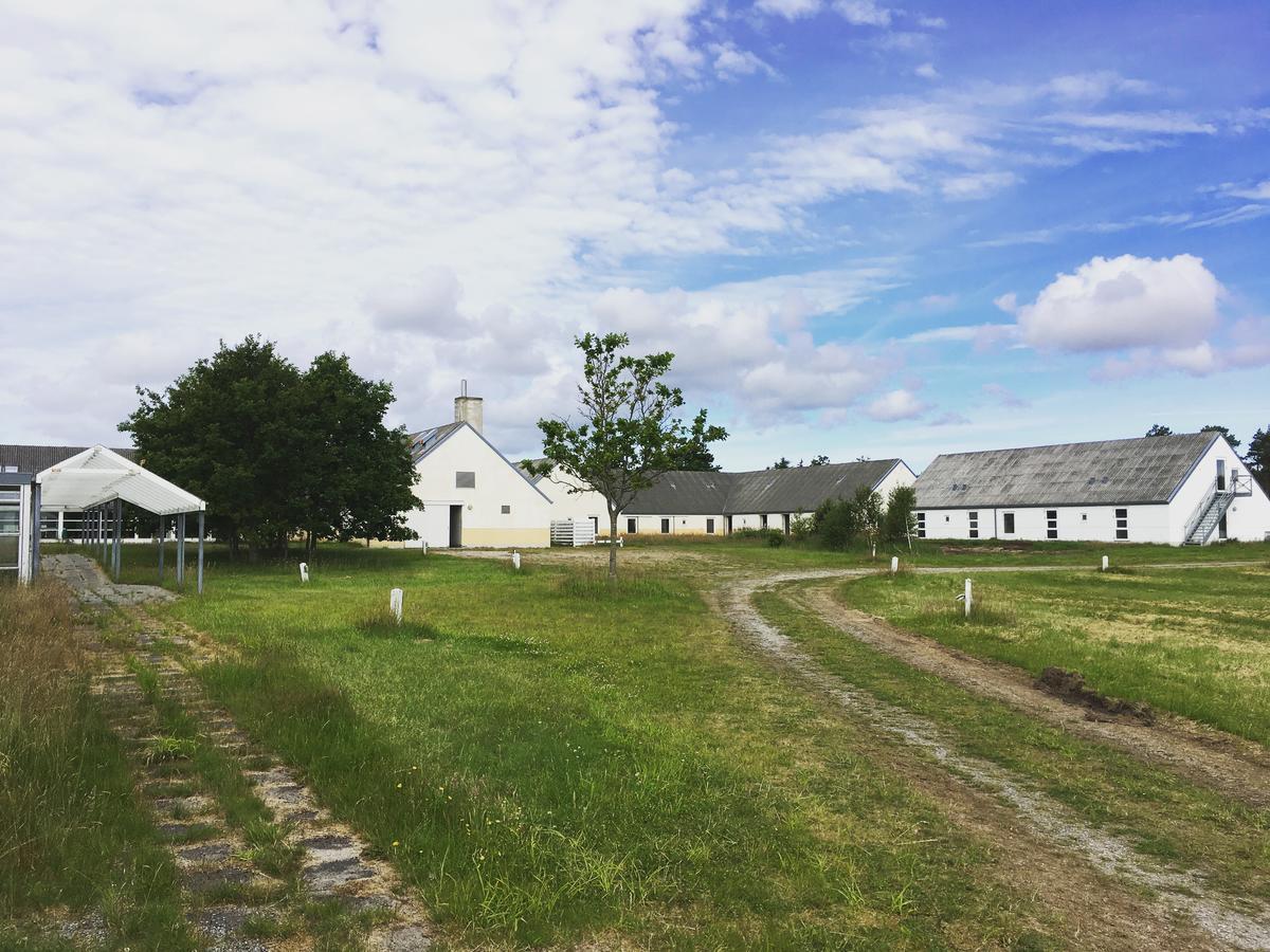 Hotel Hvideklit Aalbaek Bagian luar foto